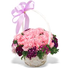 Send 12 Pcs. Pink Color Carnations in Basket to Philippines