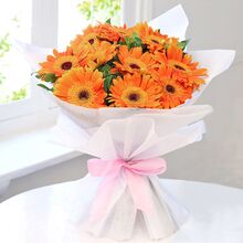 Send Dozen Orange Gerberas to Dhaka in Bangladesh