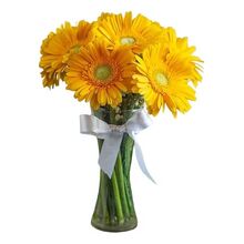 send 9 pcs gerbera in vase to bangladesh