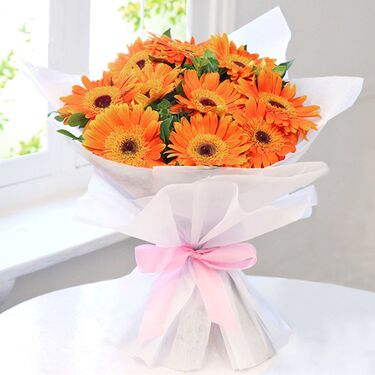 Send Dozen Orange Gerberas to Dhaka in Bangladesh