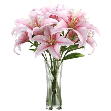 Send Fragrant Stargazer Lilies to Dhaka in Bangladesh