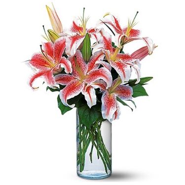 Send 6 Stalks Pink lilies in a Vase to Dhaka in Bangladesh
