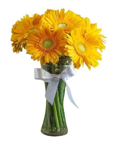 send 9 pcs gerbera in vase to bangladesh