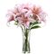 Send Fragrant Stargazer Lilies to Dhaka in Bangladesh