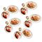send sultans dine 5 person plain pulao with chicken roast and borhani to dhaka
